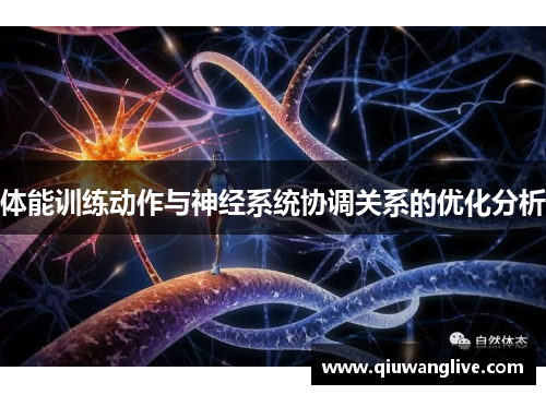 体能训练动作与神经系统协调关系的优化分析